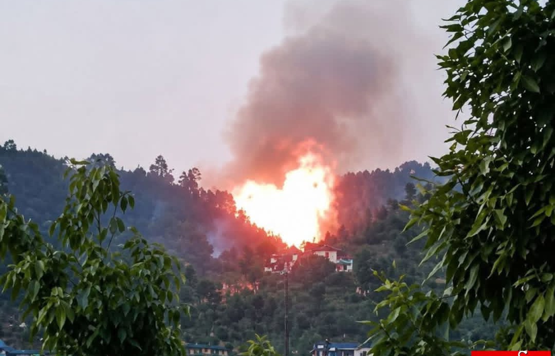 दुखद(उत्तराखंड) जंगल की आग बुझाने गई महिला की दर्दनाक मौत, गांव में मातम ।