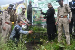 बड़ी खबर हल्द्वानी मानसून के साथ हुई वन महोत्सव की शुरुआत ।।