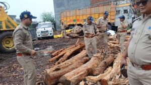 (बड़ी खबर)उत्तराखंड के वन कर्मियों ने की यूपी में छापामारी खैर की लकड़ी बरामद ।।