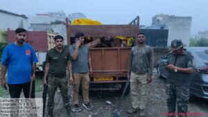 बड़ी खबर(उत्तराखंड) खैर की लकड़ी का अवैध व्यापार जारी,वन विभाग ने दो पिकअप की सीज ।।