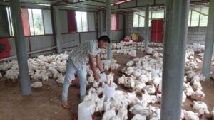 ऐसे कमा रहे है थलीसैंण के दीवान सिंह प्रतिमाह  70 हजार रुपये ।।