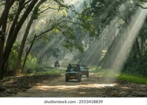रामनगर में फाटो और हाथीडगर सफारी जोन में मोबाइल फोन पर रोक, सफारी शुरू